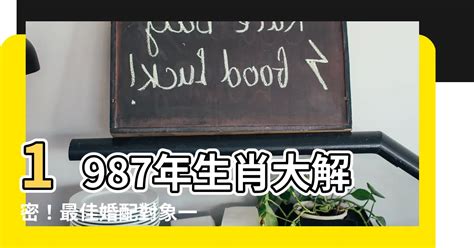 1987年屬什麼生肖|1987是民國幾年？1987是什麼生肖？1987幾歲？